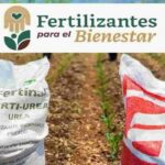Fertilizantes para el Bienestar