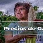 Precios de Garantía